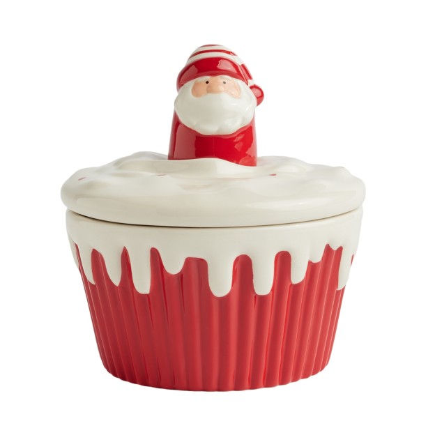 Контейнер SANTAS