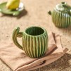 Cana CACTI