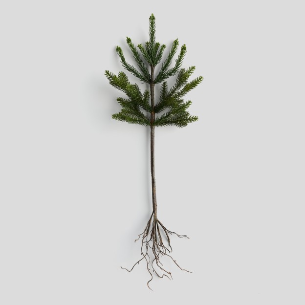Crenguta decorativa ROOTSI