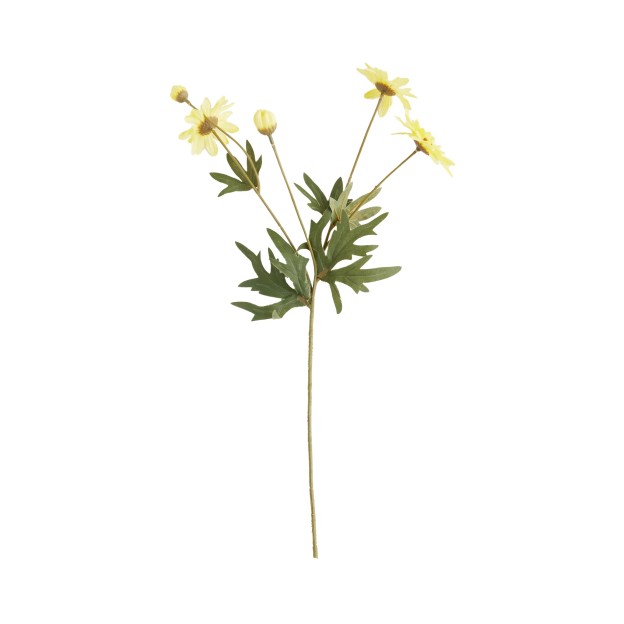 Crenguta decorativ MARGARETO