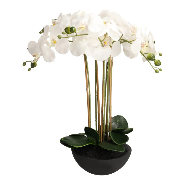 Compozitie florala ORCHIDIOS