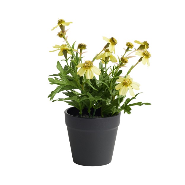 Цветочная композиция LEKANTO