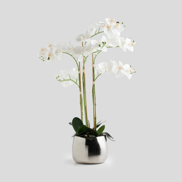 Compozitie florala ORCHIDE