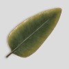 Platou decorativa LEAFESY