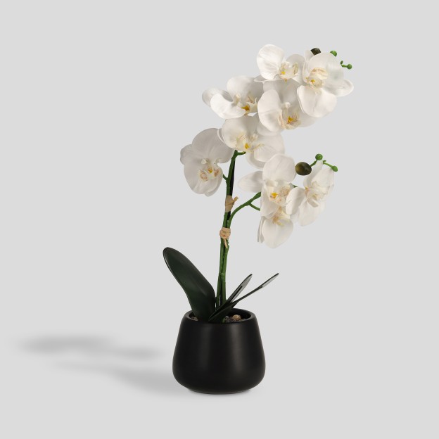 Compozitie florala ORCHISI