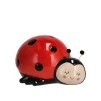 Pusculita LADYBUG
