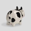 Pusculita MUCCA