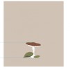 Stergar bucatarie SHROOMSIS
