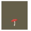 Stergar bucatarie SHROOMSIS