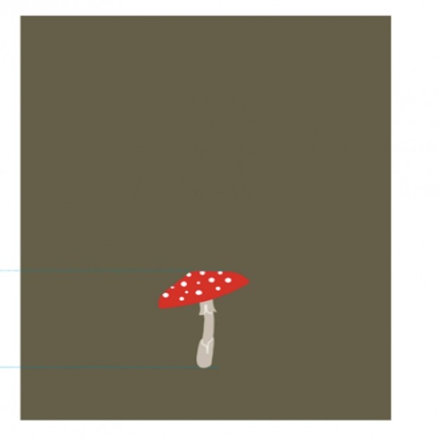 Stergar bucatarie SHROOMSIS