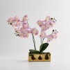 Compozitie florala ORCHIANUM