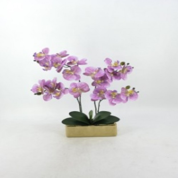 Compozitie florala ORCHIANUM