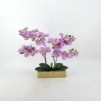 Compozitie florala ORCHIANUM
