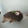 Figurina decorativa HEDGEHOGGIS