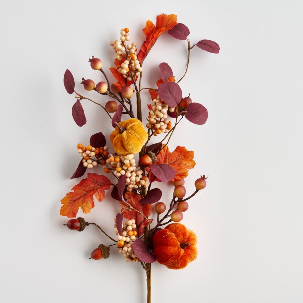 Crenguta decorativa HERVEST