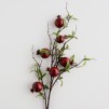 Crenguta decorativa POMESO