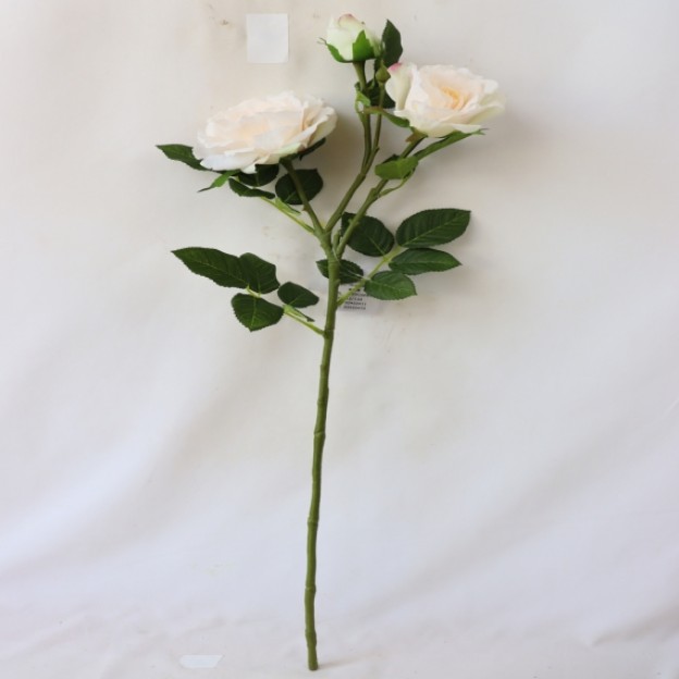 Crenguta decorativa ROZES