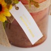 Luminare aromatizata LISTIO DECO