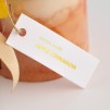 Luminare aromatizata PUMPBLUSH DECO