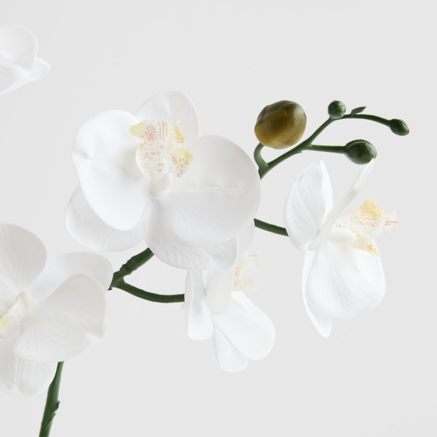 Ustensila pentru bucatarie TABLER