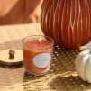 Luminare aromatizata PUMPKIN