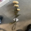 Crenguta decorativa DALIAS