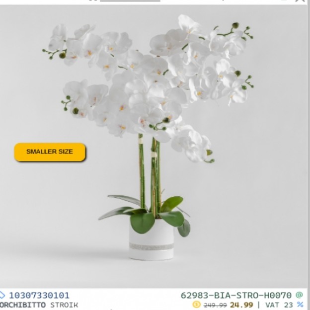 Compozitie florala ORCHIBITTO NEW