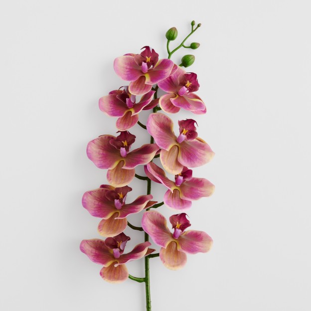 Accesoriu bucatarie CRACKERIO