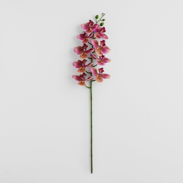 Accesoriu bucatarie CRACKERIO