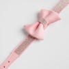 Accesoriu pentru animale ASTRI