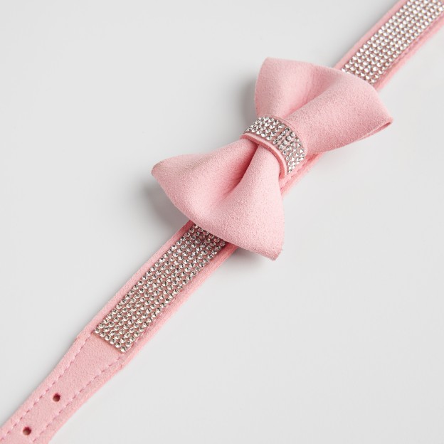 Accesoriu pentru animale ASTRI