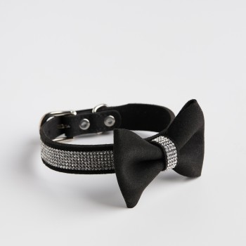 Accesoriu pentru animale ASTRI
