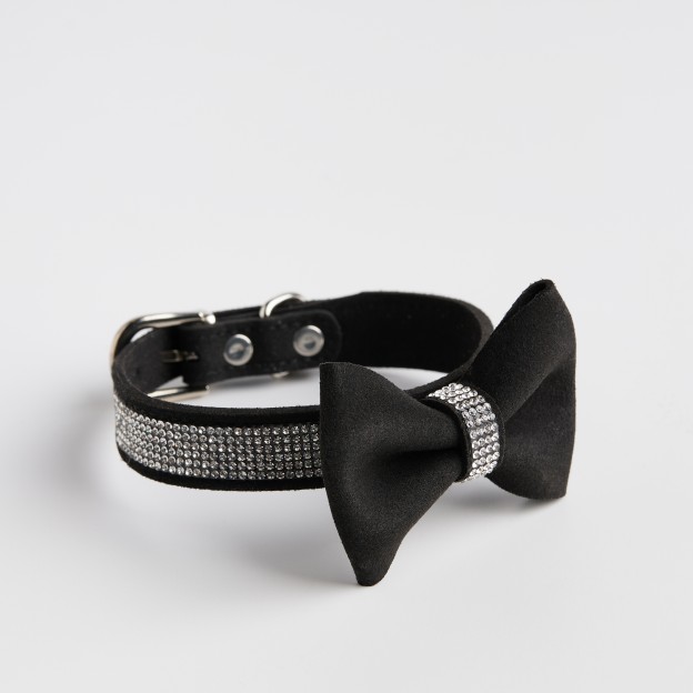 Accesoriu pentru animale ASTRI