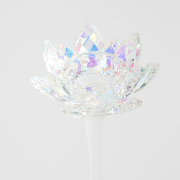 Set forme biscuiti ANIMI