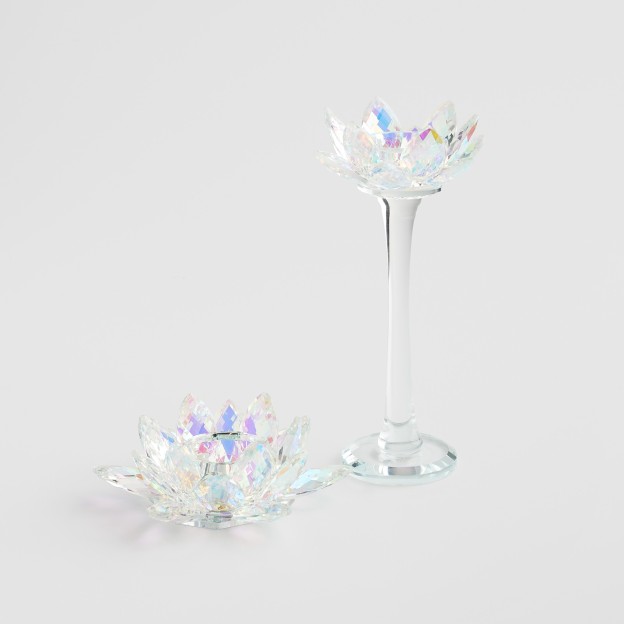 Set forme biscuiti ANIMI