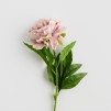 Crenguta decorativa DAHLIO KWIAT l pink
