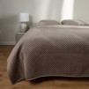 Cuvertura PLUMS