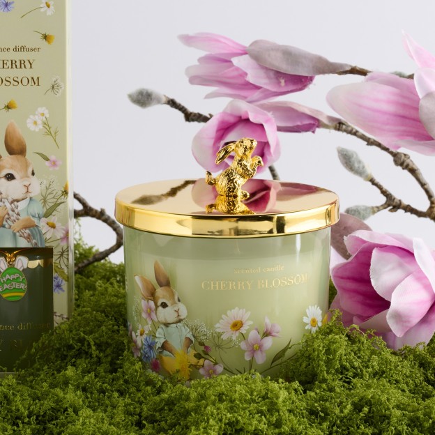 Аромадиффузор EMI