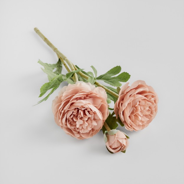 Crenguta decorativa RAMOSO