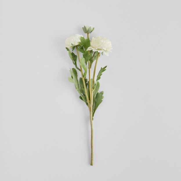 Crenguta decorativa RAMOSO