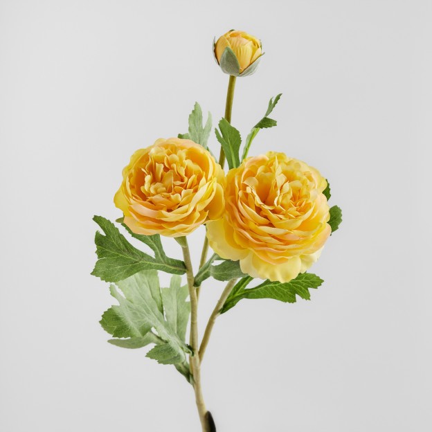 Crenguta decorativa RAMOSO