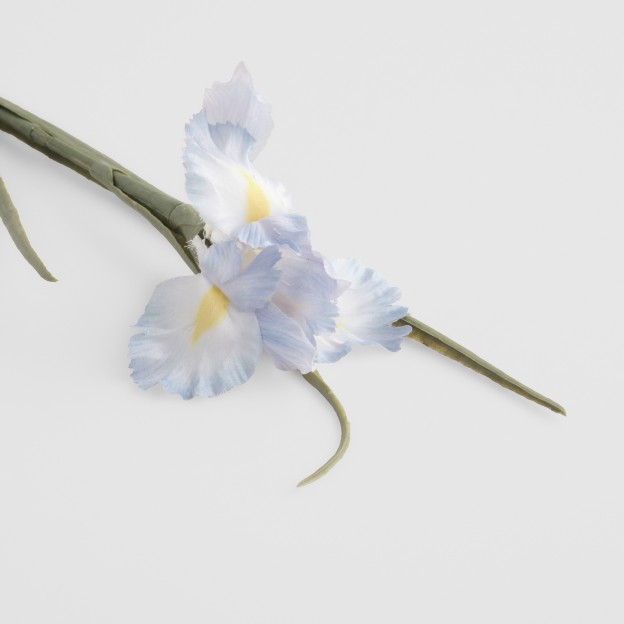 Crenguta decorativa IRISO