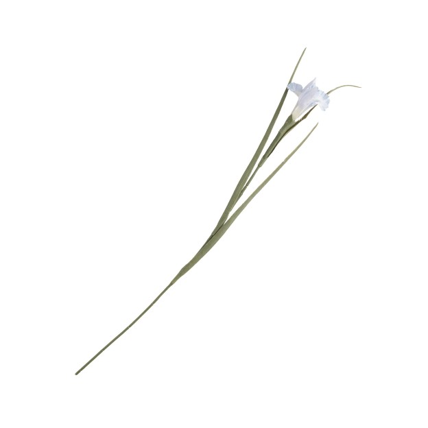 Crenguta decorativa IRISO