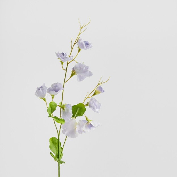 Crenguta decorativa PISELLO