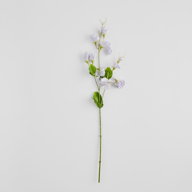 Crenguta decorativa PISELLO