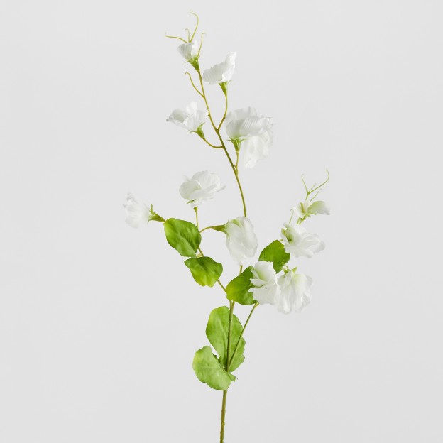 Crenguta decorativa PISELLO