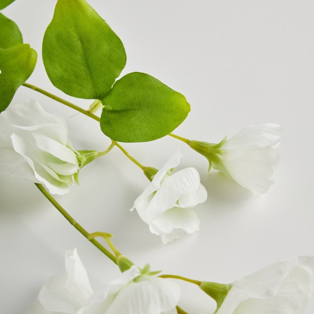 Crenguta decorativa PISELLO