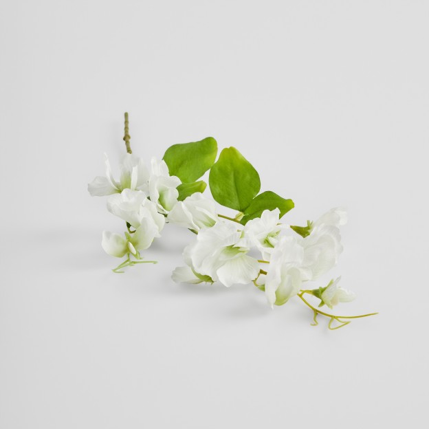 Crenguta decorativa PISELLO