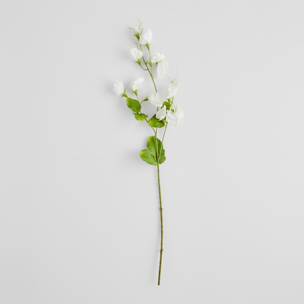 Crenguta decorativa PISELLO