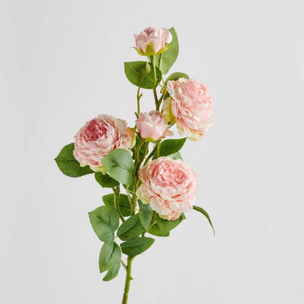 Ветка декоративная PEONI